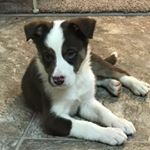 Profile Picture of cale scott nieman (@cale_nieman) on Instagram