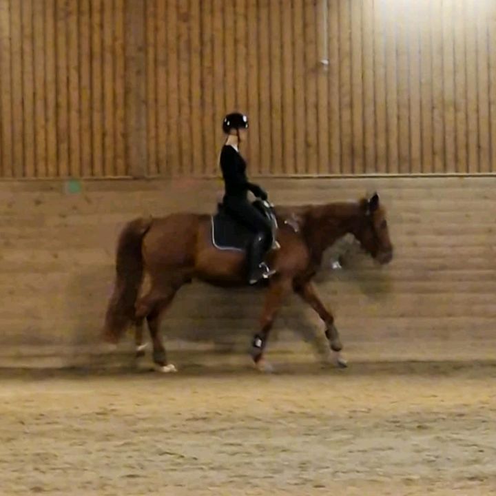 Profile Picture of 🇸🇪Cassandra Rova🇸🇪 (@__._.cassandra._.__) on Tiktok