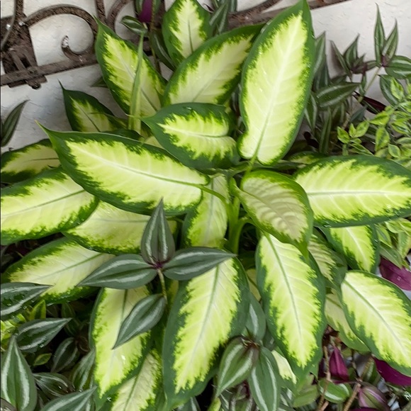 Profile Picture of Brett Heier (@brabbit28) on Poshmark