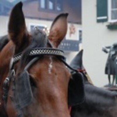 Yukio Ishii - Twitter Profile Picture of Yukio Ishii (@ooISHoo) on Twitter