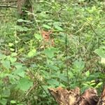 Profile Picture of Dr Jason Horstman EdD (@all4jesus_jaho) on Instagram