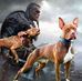 Profile Picture of Robert Jemison (@robert.jemison.923) on Facebook