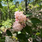 Profile Picture of Josha Skinner (@Josha-Skinner) on Facebook