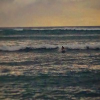 Nicholas Laskowski - Quora Profile Picture of Nicholas Laskowski (@nicholas-laskowski) on Quora