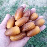 Profile Picture of Abd Elkader Tabassi (@abdelkadertabassi) on Instagram