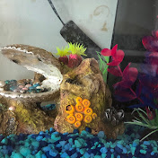 Jocelyn Simon - Youtube Profile Picture of Jocelyn Simon (@Mochidango8) on Youtube