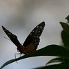 Profile Picture of Scott Malm (@Scott Malm Photography) on Flickr