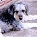 Profile Picture of Diana Manning (@diana.manning.52643) on Facebook