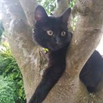 jessica canavan-daly - Instagram Profile Picture of jessica canavan-daly (@xxj355yxx) on Instagram