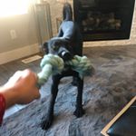 Profile Picture of Tyler Tebbs (@tebbs_tyler) on Instagram