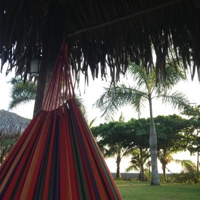 Profile Picture of ariel werbel (@alwerbel) on Twitter