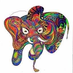 Profile Picture of Stephen Di Mauro (@stephentomorrow) on Twitter
