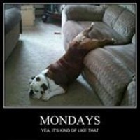 Profile Picture of James Inch (@james-inch) on Quora