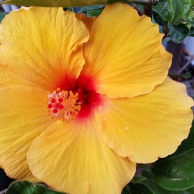 Profile Picture of Nicholas Devincenzo (@NicholasDevinc1) on Twitter