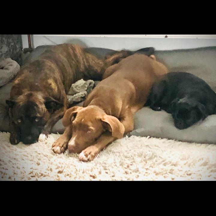 Profile Picture of Chester_Stanley_Cooper (@chester_stanley_cooper) on Tiktok