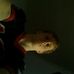 Profile Picture of Joseph Swann (@joseph.swann.31) on Facebook