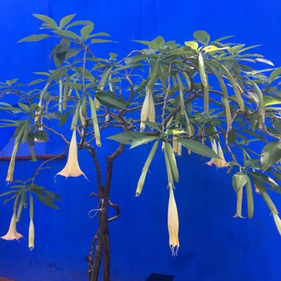 Profile Picture of Hetal Patel (@hetalpatel_) on Twitter