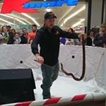 Profile Picture of Jason Stephens (@wimmerareptiles) on Instagram