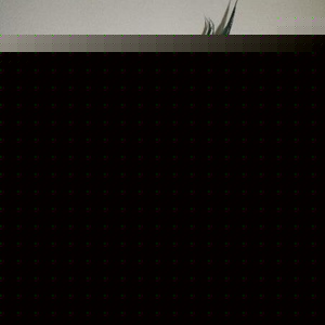 Profile Picture of Robin Friedrich (@370877434) on Myspace