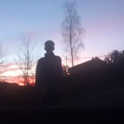 Profile Picture of Eric Alexander Gabrielsen (@EricAlexanderG9) on Twitter