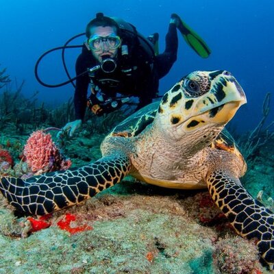 Profile Picture of Josh Kugler (@josh_kugler) on Twitter