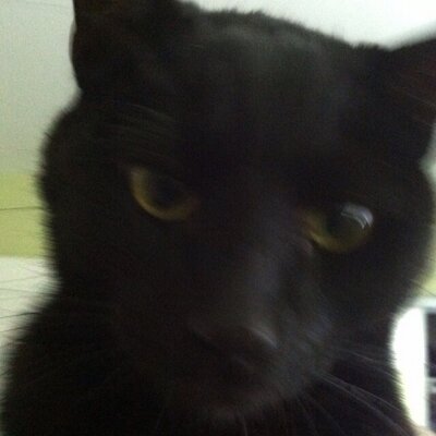 Profile Picture of Devin Cunningham (@devinpc) on Twitter