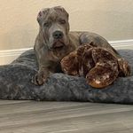 Profile Picture of Reggie N Sherry Brasher (@reggiensherry) on Instagram