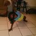 Profile Picture of LoriHayden Joseph (@Lori-Hayden-Joseph) on Facebook