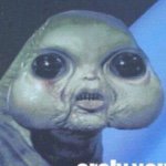 Brooks Burgess - Instagram Profile Picture of Brooks Burgess (@brooks.burgess.backup) on Instagram