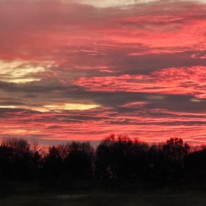 Profile Picture of Alicia Moan (@alicia.moan) on Tiktok