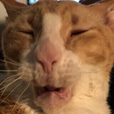 Profile Picture of Danny_Tabitha_Ray (@DannyTabitha) on Twitter