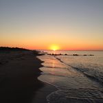 Profile Picture of Pia Susanne Larsen (@psusannelarsen) on Instagram