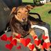 Profile Picture of Lisa Roche (@lisa.roche.3344) on Facebook