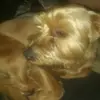 Profile Picture of Peter (@broome) on Tiktok