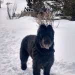 Profile Picture of Janene Wasserman (@wassermanjanene) on Instagram