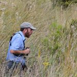 Profile Picture of Brad Sale (@swampbirding) on Instagram