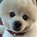 Profile Picture of June Hsu (@jul0711) on Pinterest