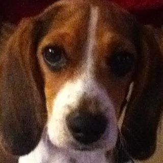 Profile Picture of Harriett Connelly (@harriett.connelly) on Facebook