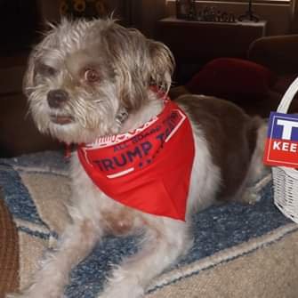 Profile Picture of Kerri Clifford (@KerriCl54030983) on Twitter