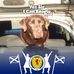 Profile Picture of Kenneth Mc Cormack (@Kenneth-Mc-Cormack) on Facebook