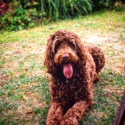 Profile Picture of Ben Craddock (@11bcraddockBen) on Twitter