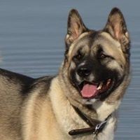 Profile Picture of Gretchen Herrington Hull (@gretchen-herrington-hull) on Quora