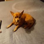 Profile Picture of Annette Dupree (@fallbac99) on Instagram