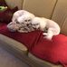 Profile Picture of Debbie Polglase Border (@debbie.polglaseborder) on Facebook