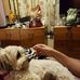 Profile Picture of Joanne Little (@joanne.little.7106) on Facebook