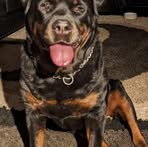 Joanne Berndt - Facebook Profile Picture of Joanne Berndt (@joanne.berndt.39) on Facebook