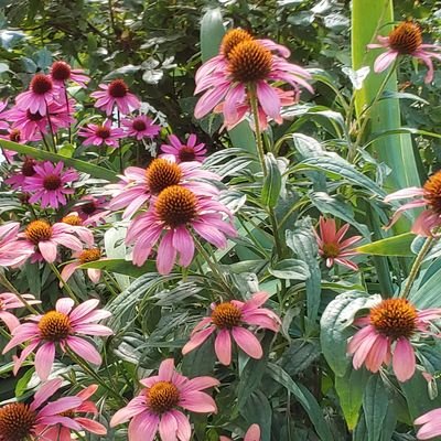 Kate Yun, MD MHS - Twitter Profile Picture of Kate Yun, MD MHS (@drkateyun) on Twitter