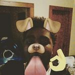 Profile Picture of kevin clayton-carver (@kclaytoncarver) on Instagram