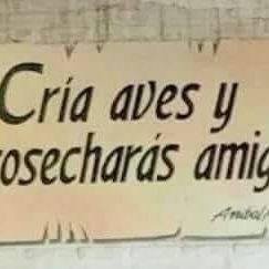 Profile Picture of Daniel Giuliano (@daniel.giuliano.161) on Facebook