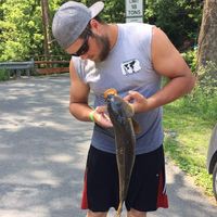 Profile Picture of Zachary Stump (@zachary-stump-8) on Quora